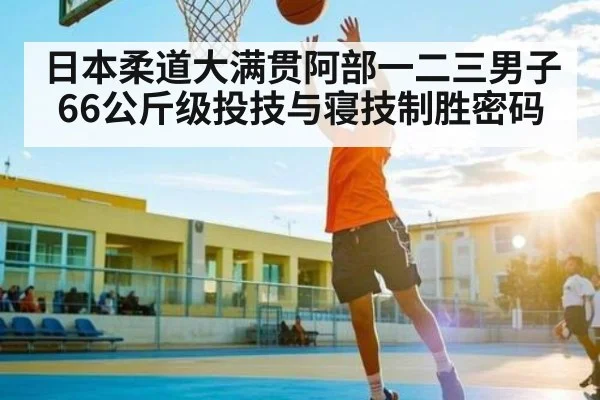 日本柔道大满贯阿部一二三男子66公斤级投技与寝技制胜密码